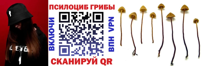Галлюциногенные грибы Cubensis  Билибино 